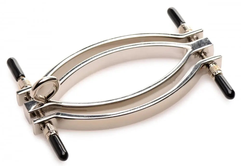 Adjustable Pussy Clamp with Leash BDSM Labia Clamp Bondage Gear