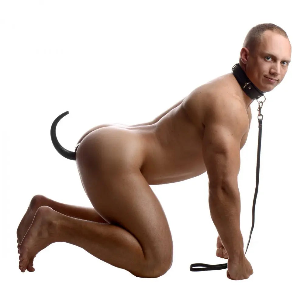 BDSM Pup Play Sick Puppy Leash and Bondage Collar Kit BDSM Pet BDSM Pet Play