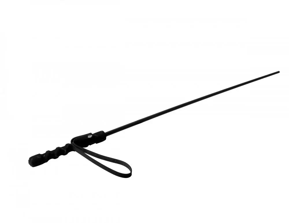 Isabella Sinclaire Intense Impact Cane Spanking Cane