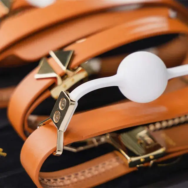 Luxury Bondage Treasure Chest - Bondage Cuff and BDSM Restraint Set Bondage Kits