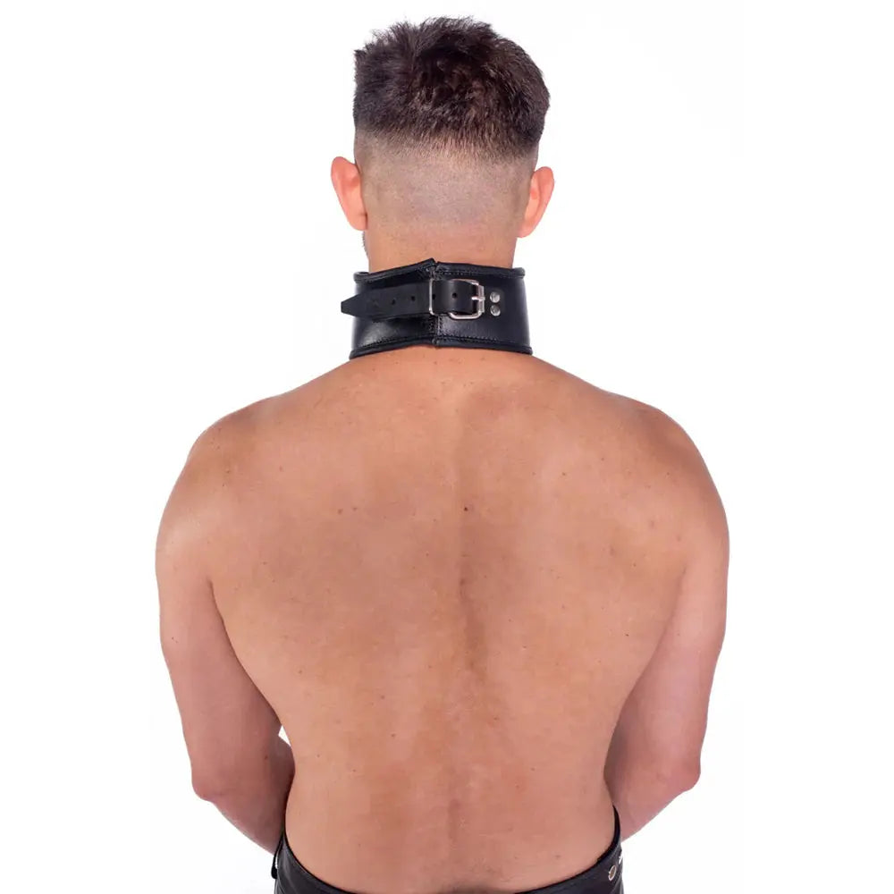 Male Submissive Collar Prowler Leather Posture Collar L/XL Fetish - Cuffs & Restraints
