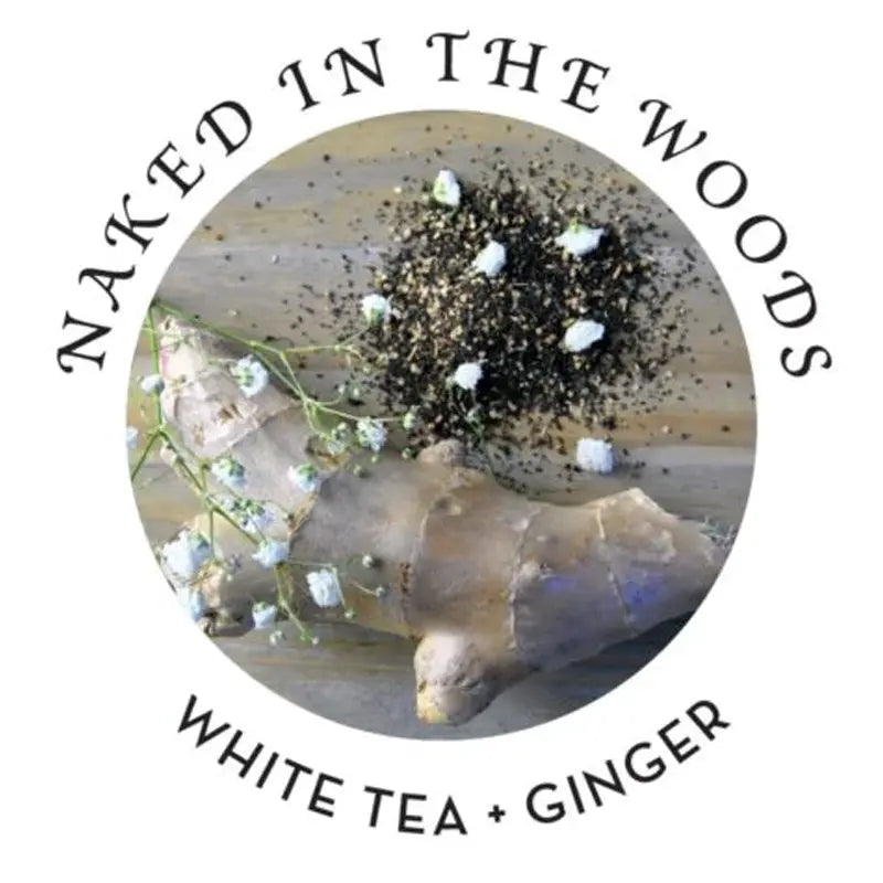 Massage in A Box: Naked In The Woods Lubes, Lotions and Accessories