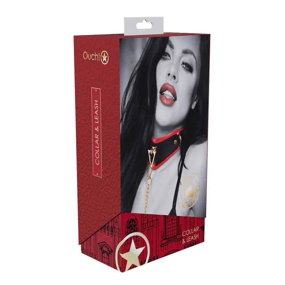 Milan Collection BDSM Collar with Bondage Leash Collars and Leads