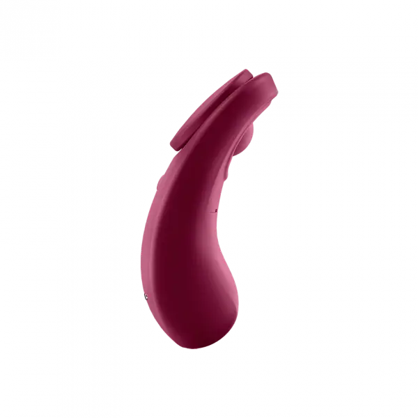 Sexy Secret - Wine Red Other