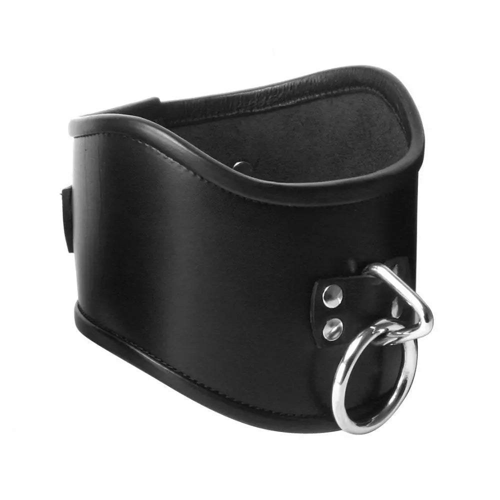 Strict Leather Locking Posture BDSM Collar - Small Collars and Leads