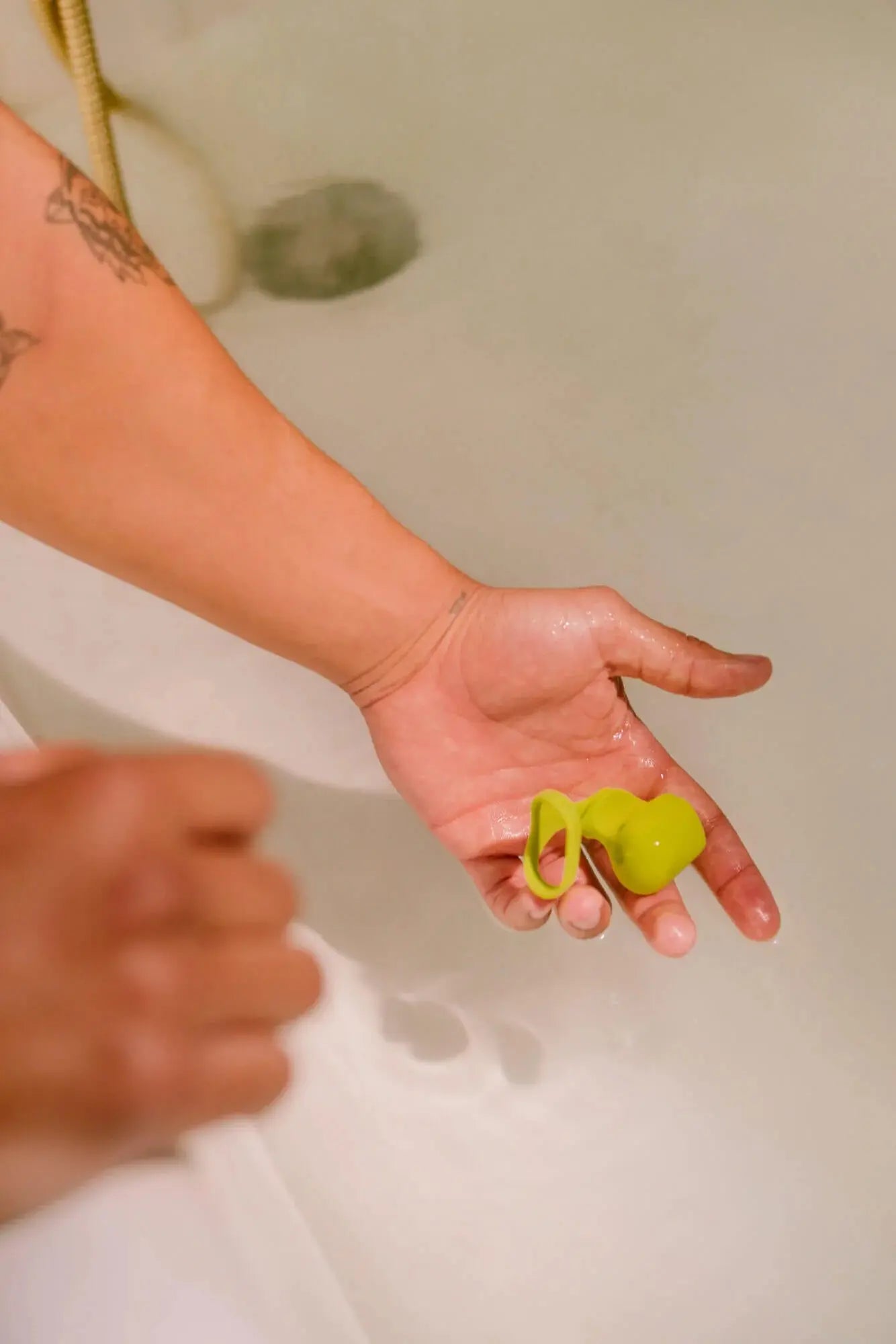 Fin - Citrus Vibrators