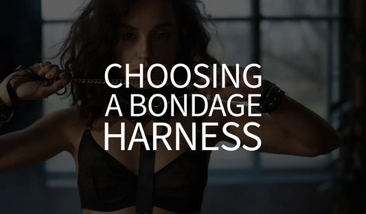 BDSM-Gear-Choosing-a-Bondage-Harness  Bound By Desire