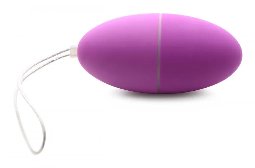 28X Scrambler Vibrating Egg with Remote Control Vibrator - Purple  Vibrators