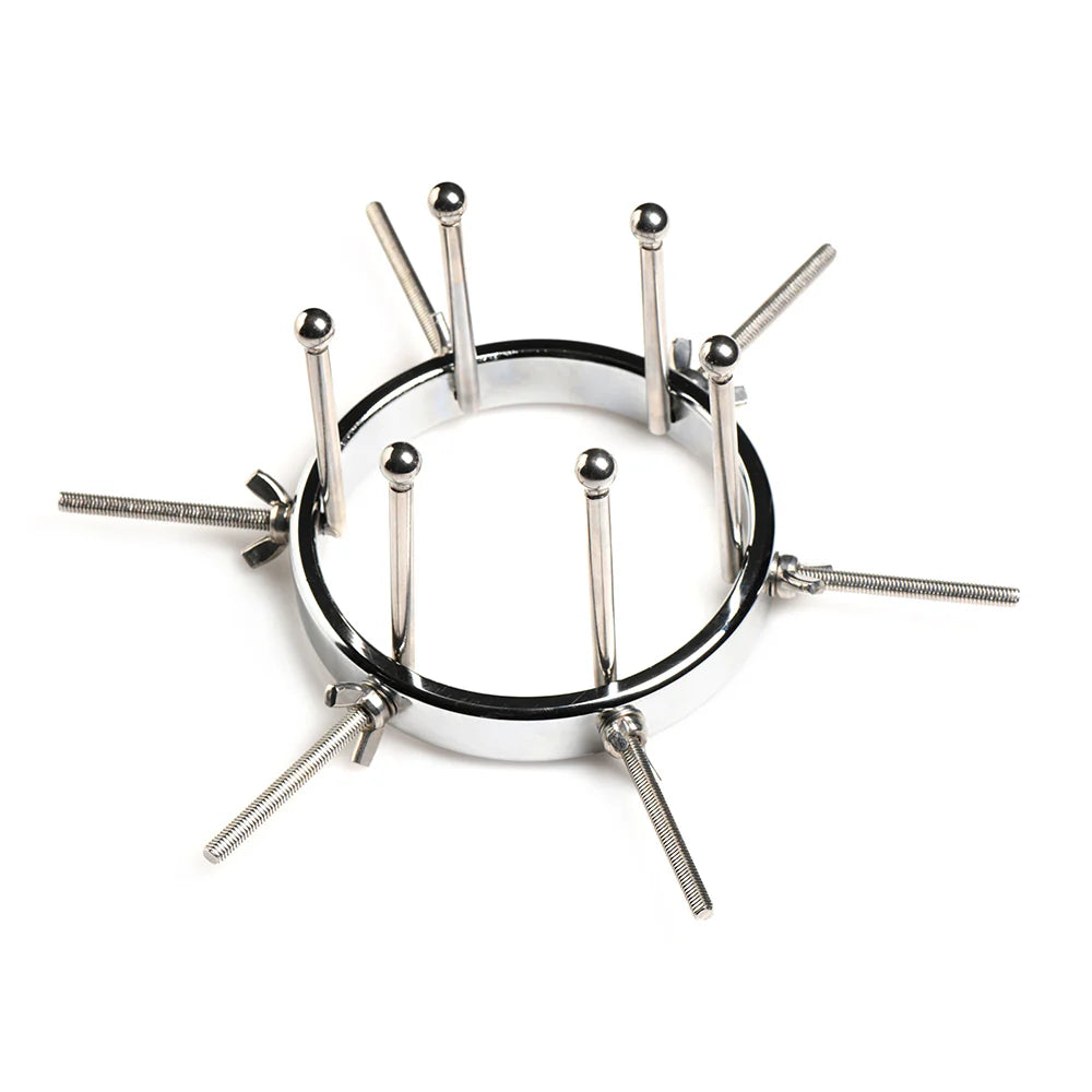 Bondage Anal Expander Oculus Stainless Steel Anal Explorer