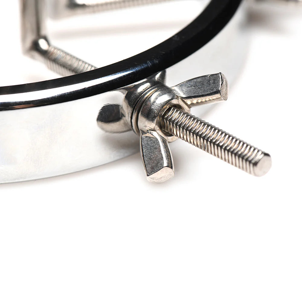 Bondage Anal Expander Oculus Stainless Steel Anal Explorer