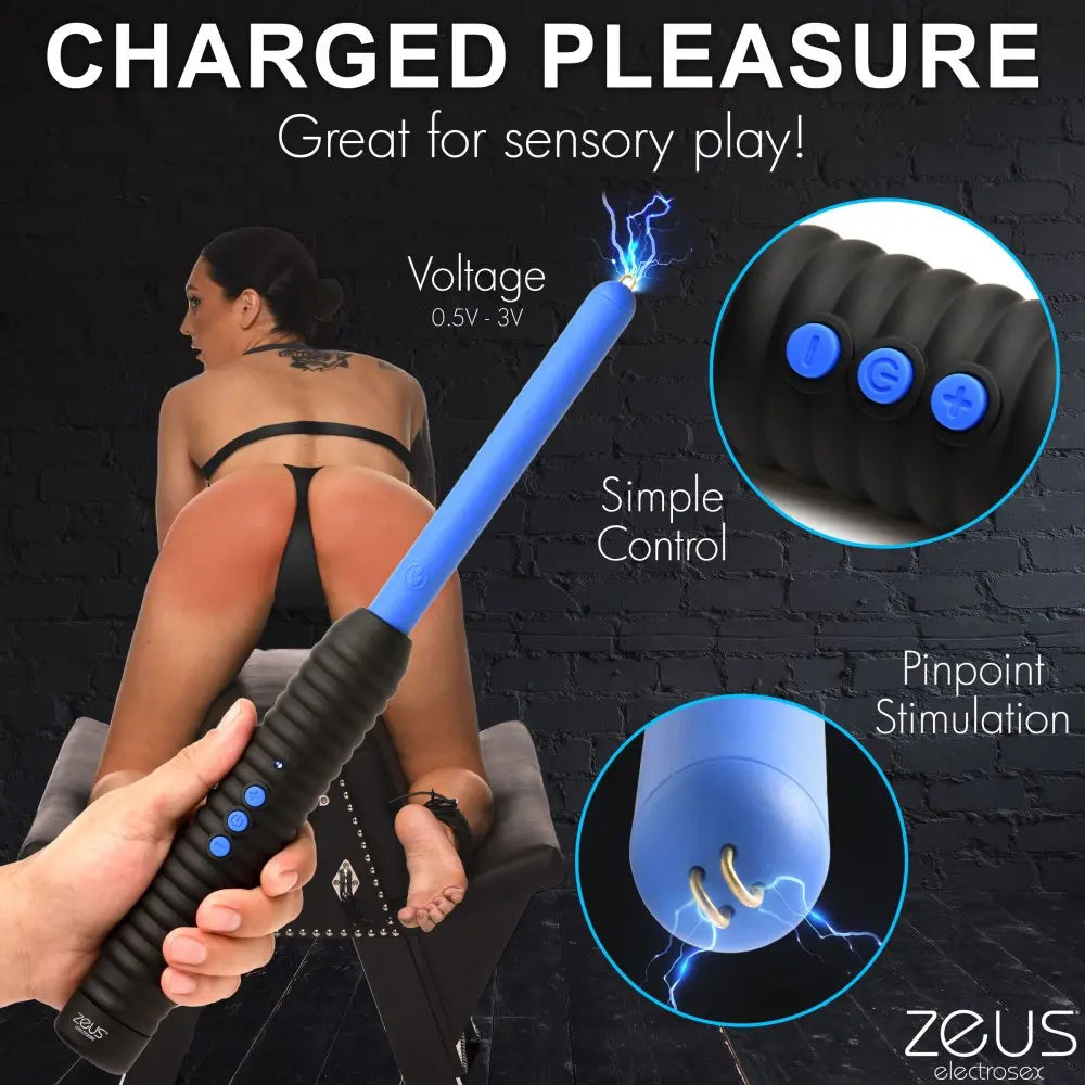 Shock Rod Zapping Wand - Bound By Desire