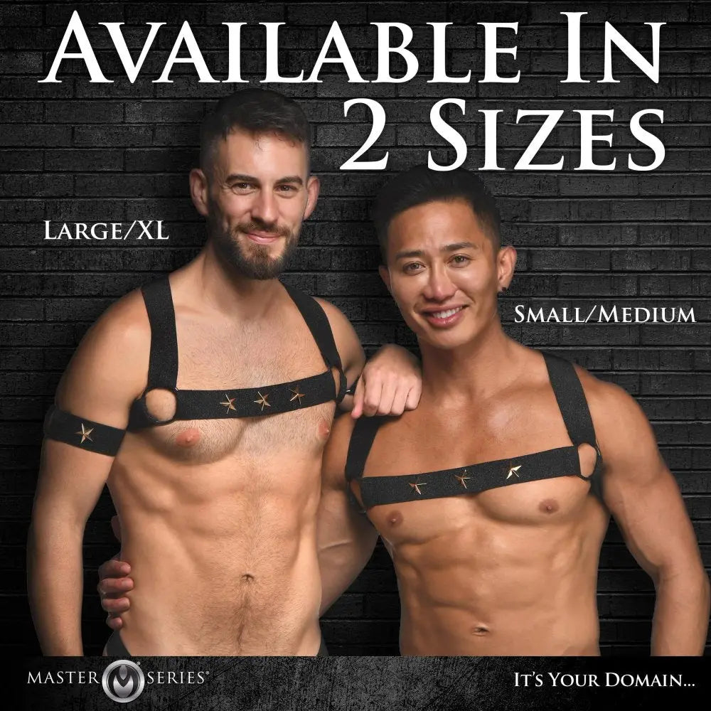 Rave Harness Elastic Chest Harness with Arm Bands - L/XL - Bound By Desire