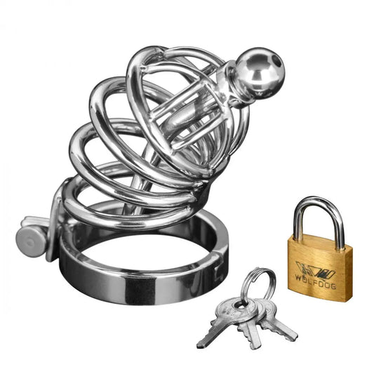 Asylum 4 Ring Locking Chastity Cage Femdom Bondage Chastity Cage  Chastity