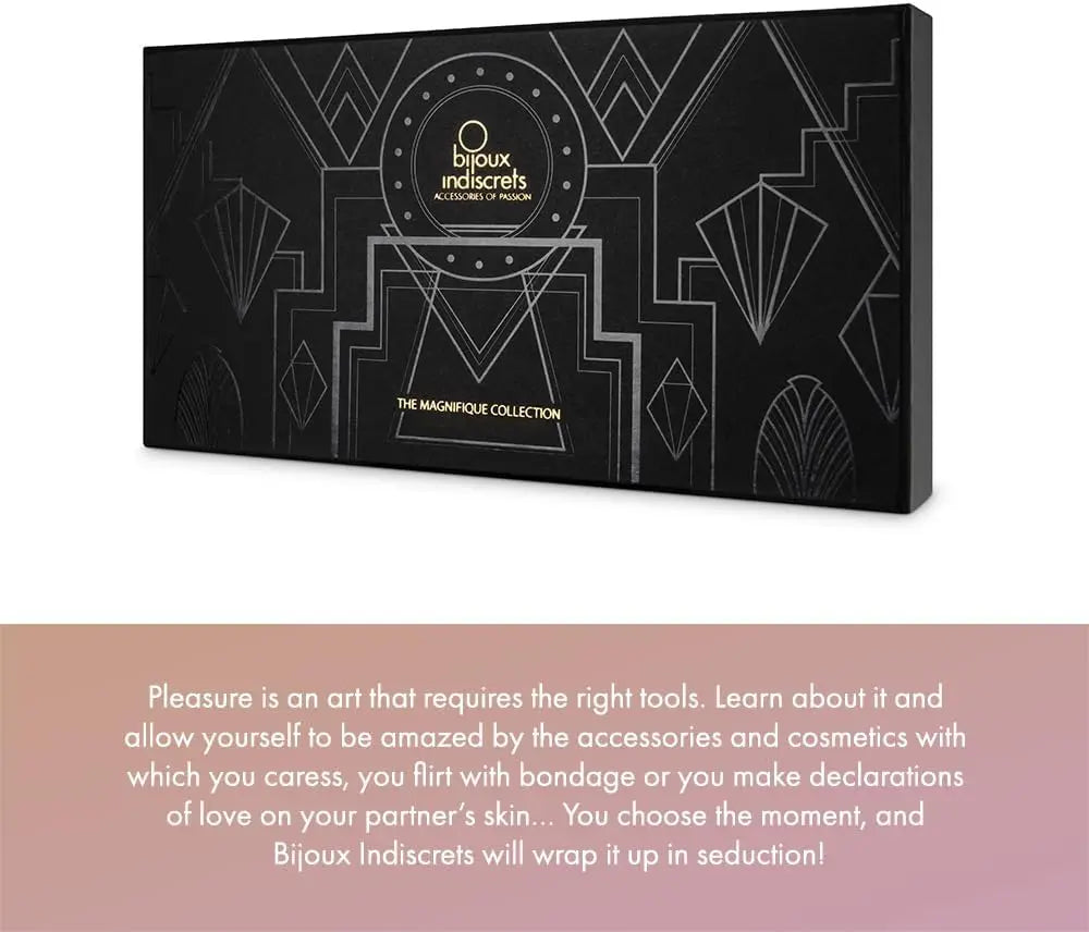 BDSM Collar Bijoux Indiscrets Desir Metallique Mesh Collar Silver with Belly Chain  Collars and Leads