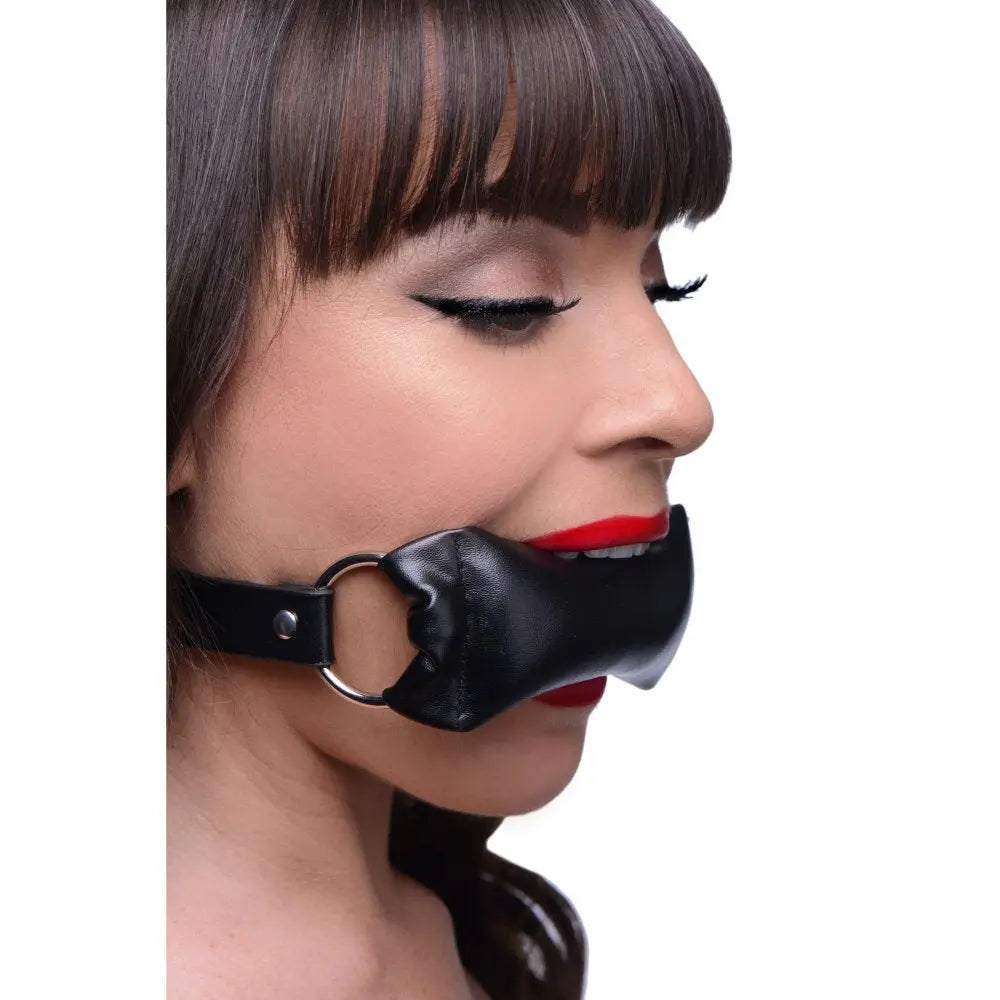 BDSM Gag Padded Pillow Mouth Gag  Masks, Gags and Blindfolds