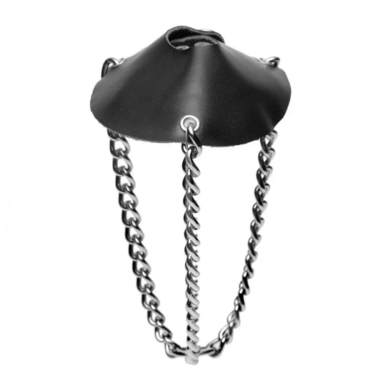 BDSM Lead By the Cock Balls Stretching Kit with Leash CBT BDSM  Cock and Ball Torture