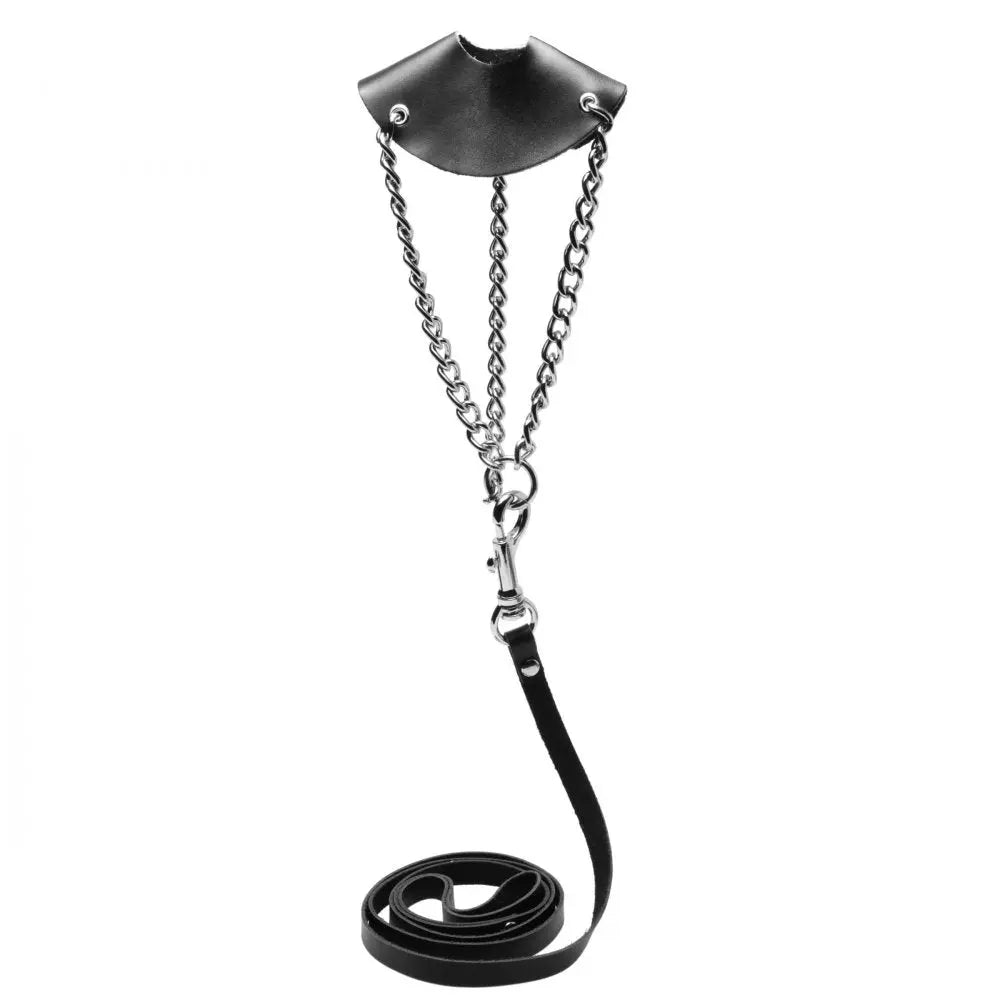 BDSM Lead By the Cock Balls Stretching Kit with Leash CBT BDSM  Cock and Ball Torture