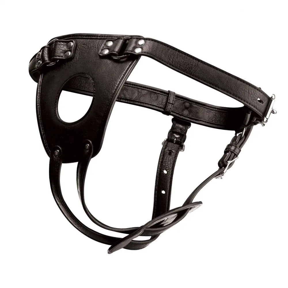 BDSM Pup Play Ass Holster Tail Anal Plug with Bondage Harness  Strap-Ons and Harnesses