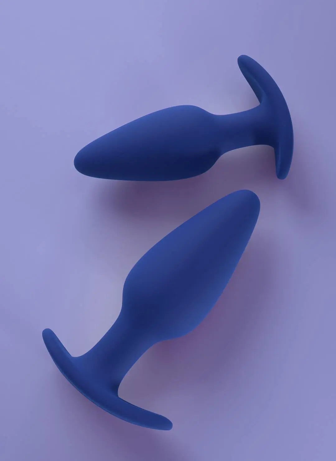 Biird Regii 2-Piece Anal Plug Set Blue  Anal Training
