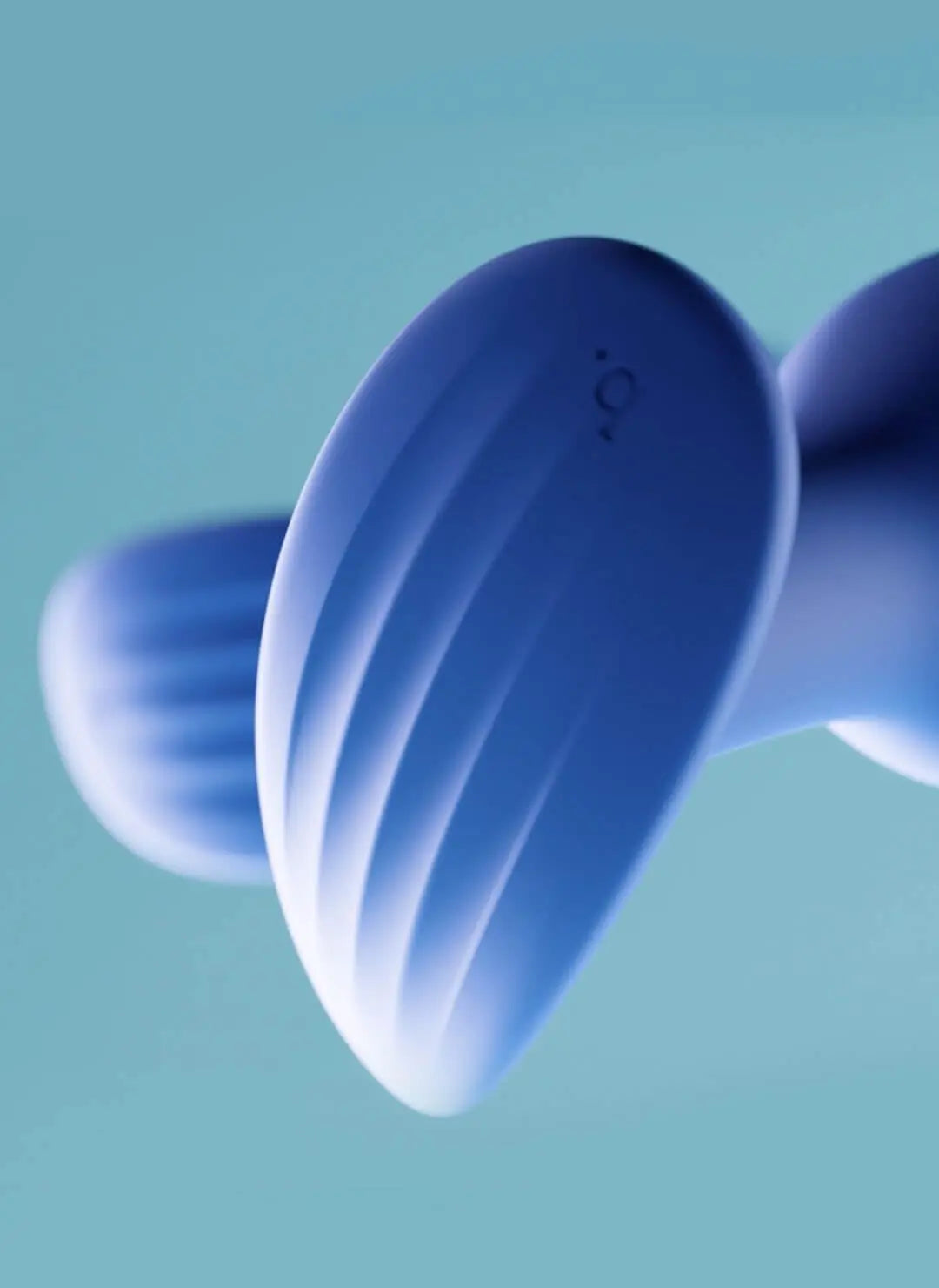 Biird Regii 2-Piece Anal Plug Set Blue  Anal Training