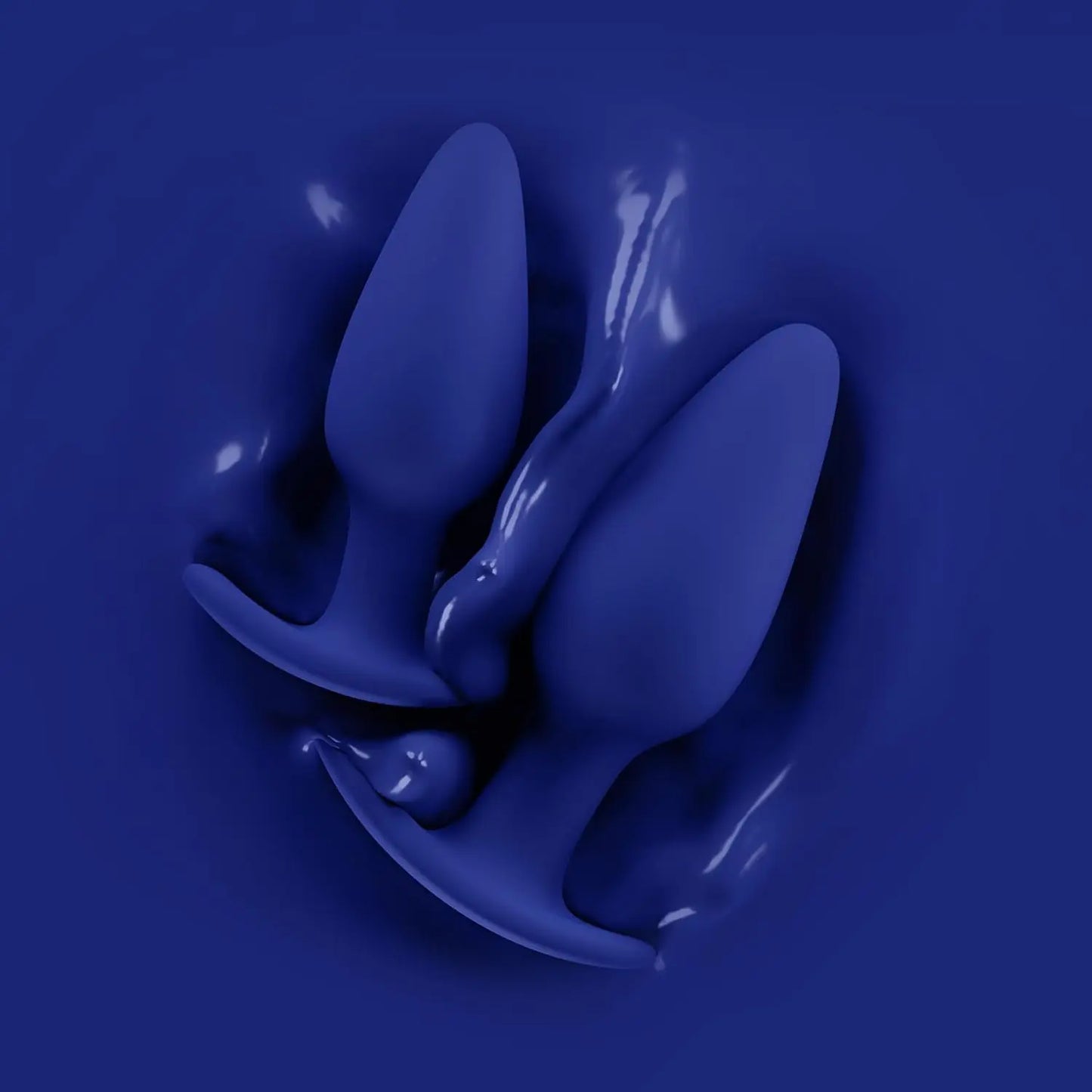 Biird Regii 2-Piece Anal Plug Set Blue  Anal Training