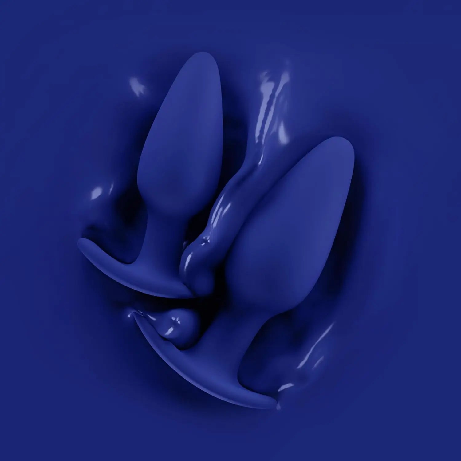 Biird Regii 2-Piece Anal Plug Set Blue  Anal Training