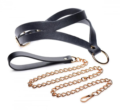 Black and Gold BDSM Collar with Leash Bondage Kit  Collars and Leads