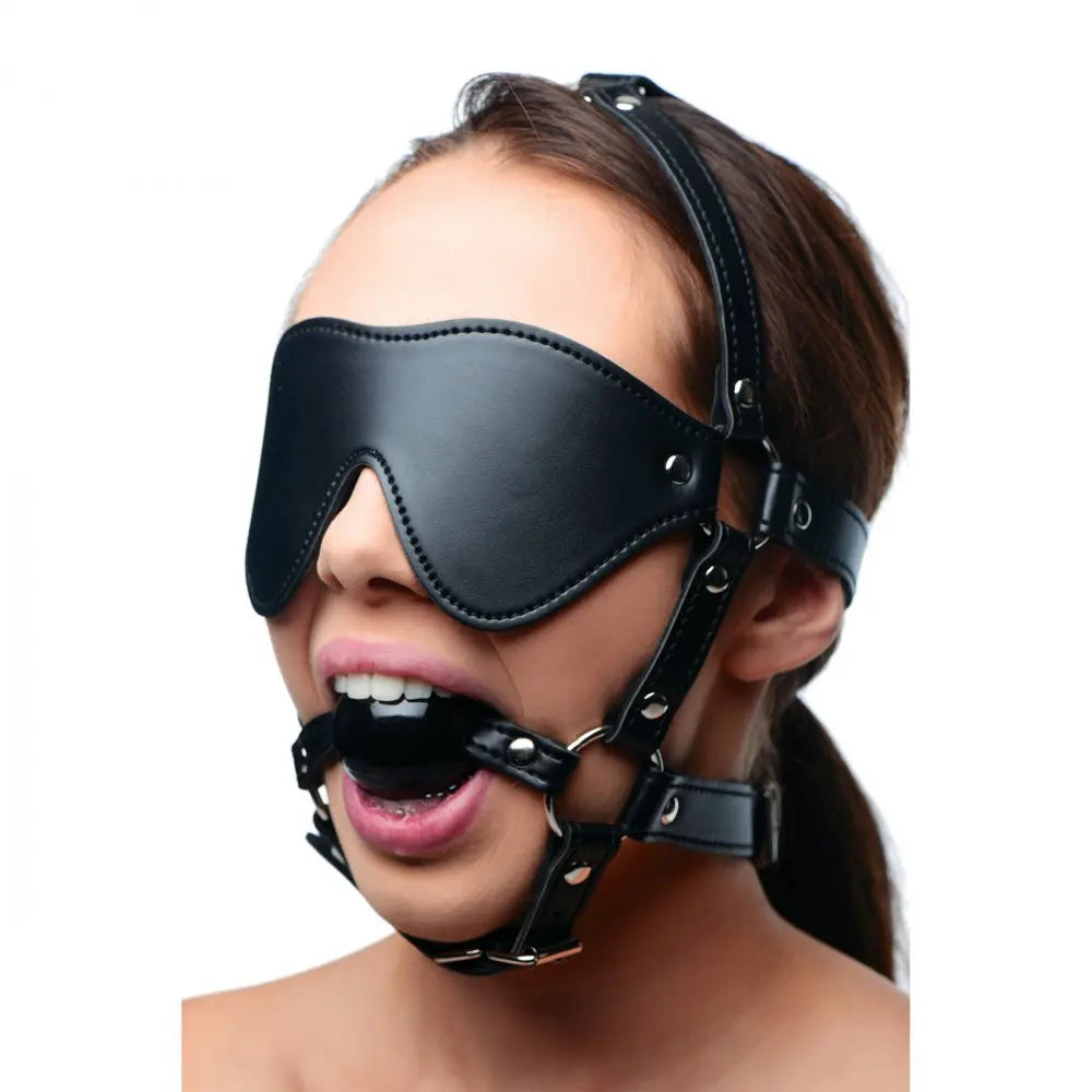 Blindfold Bondage Harness and Black Ball Gag BDSM Headgear  Masks, Gags and Blindfolds