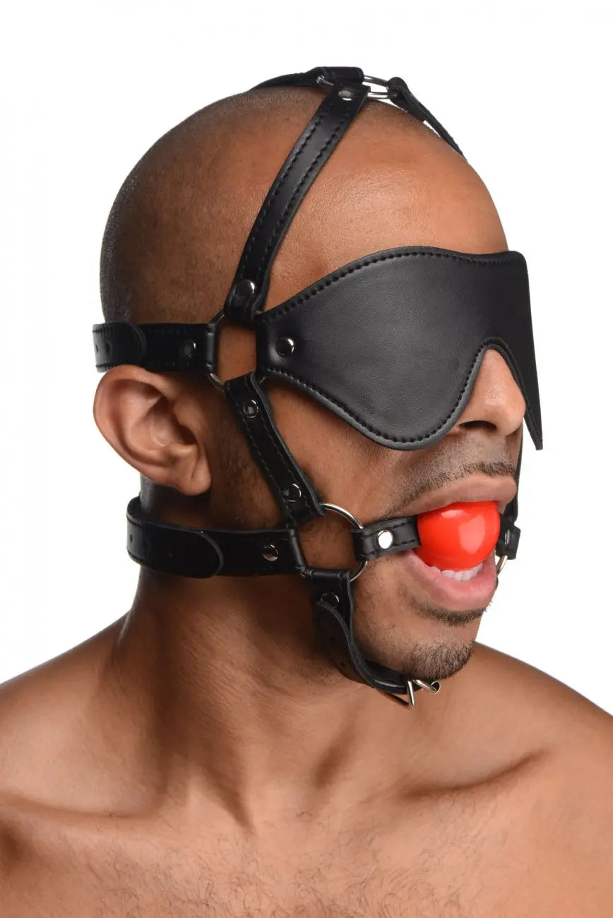 Blindfold Harness and Red Ball Gag  Masks, Gags and Blindfolds