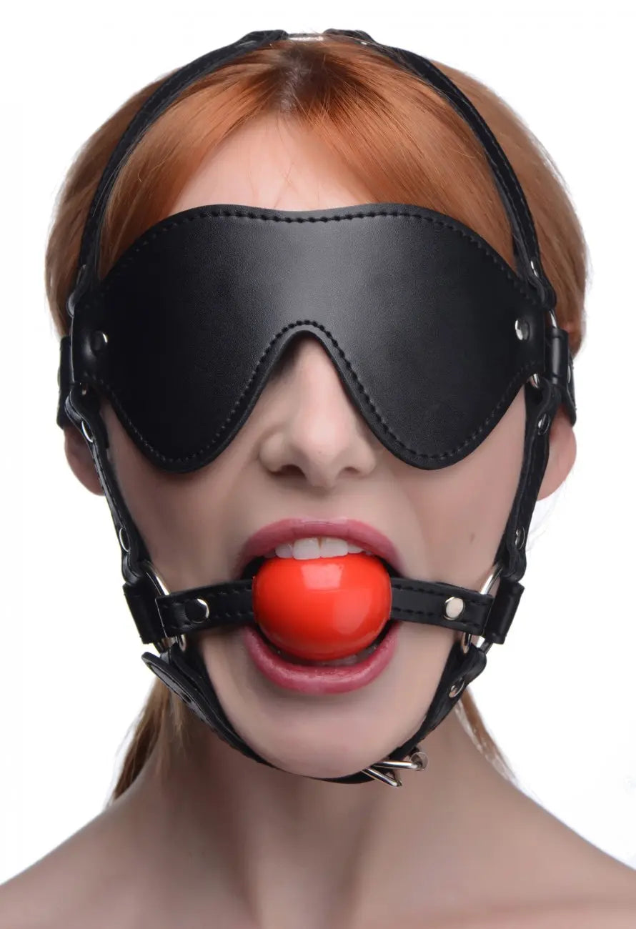 Blindfold Harness and Red Ball Gag  Masks, Gags and Blindfolds