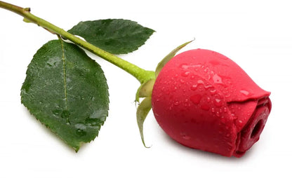 Bloomgasm Wild Rose Toy 10X Silicone Clit Stimulator  Suction Vibrators