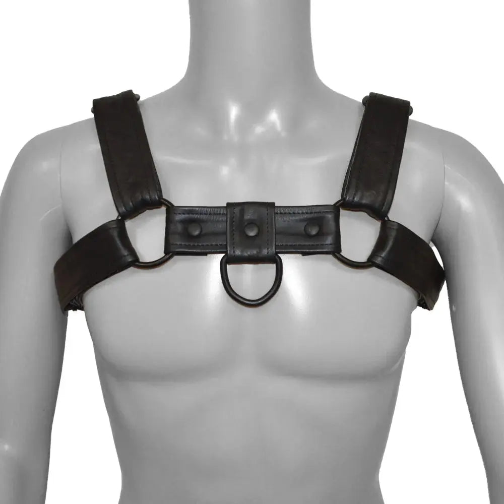 Bondage Bull Harness for Men Black with Metal Fittings Small  Mens Harness