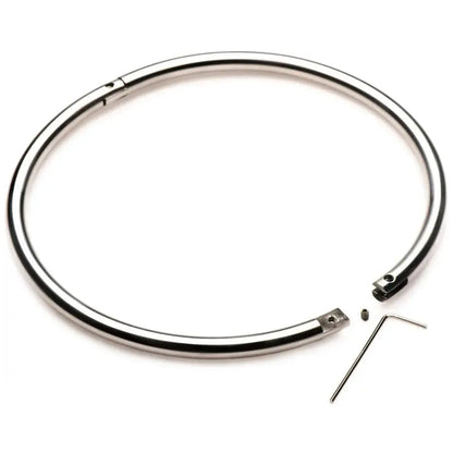 Bondage Formal Collar Possession Stainless Steel Locking BDSM Collar - Small  Collars and Leads