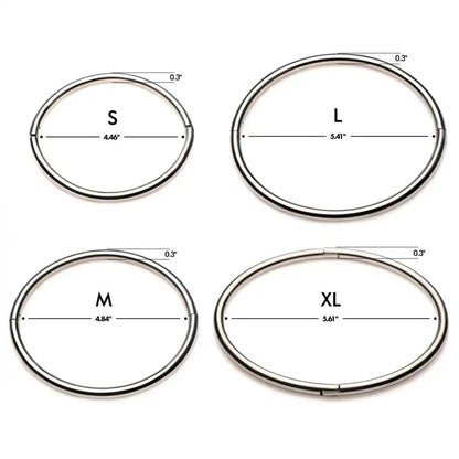 Bondage Formal Collar Possession Stainless Steel Locking BDSM Collar - Small  Collars and Leads