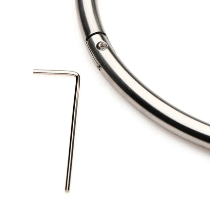 Bondage Formal Collar Possession Stainless Steel Locking BDSM Collar - XL  Collars and Leads