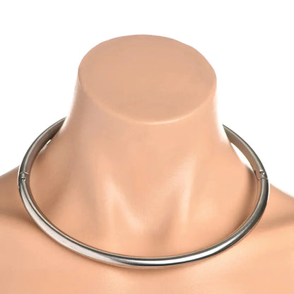 Bondage Formal Collar Possession Stainless Steel Locking BDSM Collar - XL  Collars and Leads