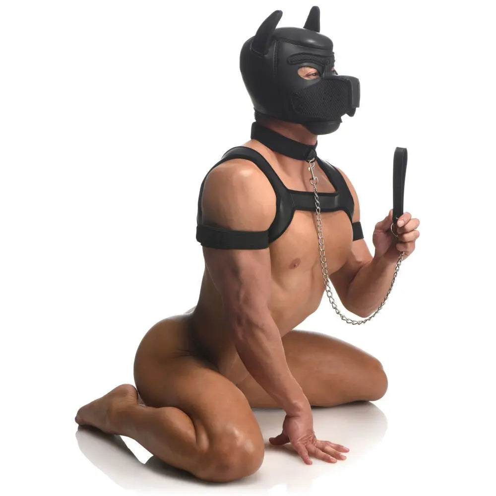 Bondage Puppy Play Full Pup Arsenal Set BDSM Pet Play  Bondage Kits