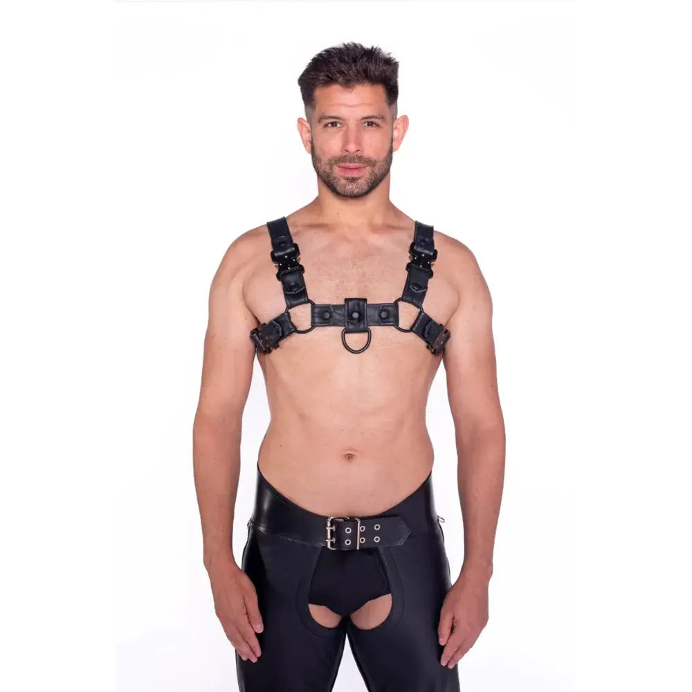 Bull Male Bondage Harness Black with Metal Fittings 2XL  Bondage Harness