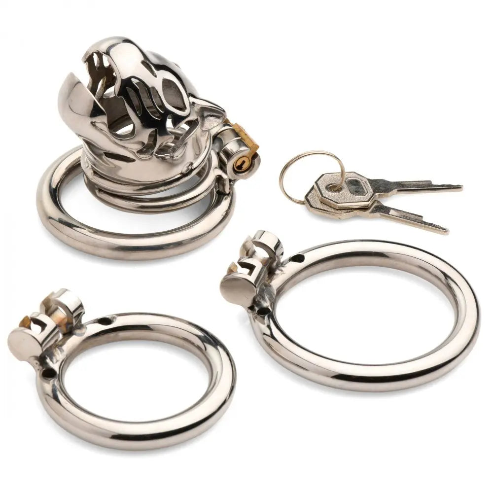 Caged Cougar Locking Chastity Cage  Chastity