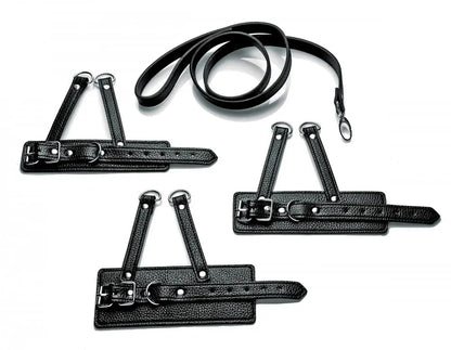 Cock Leash CBT 3 Piece Ball Stretcher Training Set and Penis Leash Femdom  Cock and Ball Torture