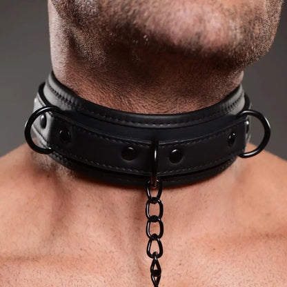 Collared Temptress BDSM Collar with Nipple Clamps - Nipple Clamps with Chain  Collars and Leads