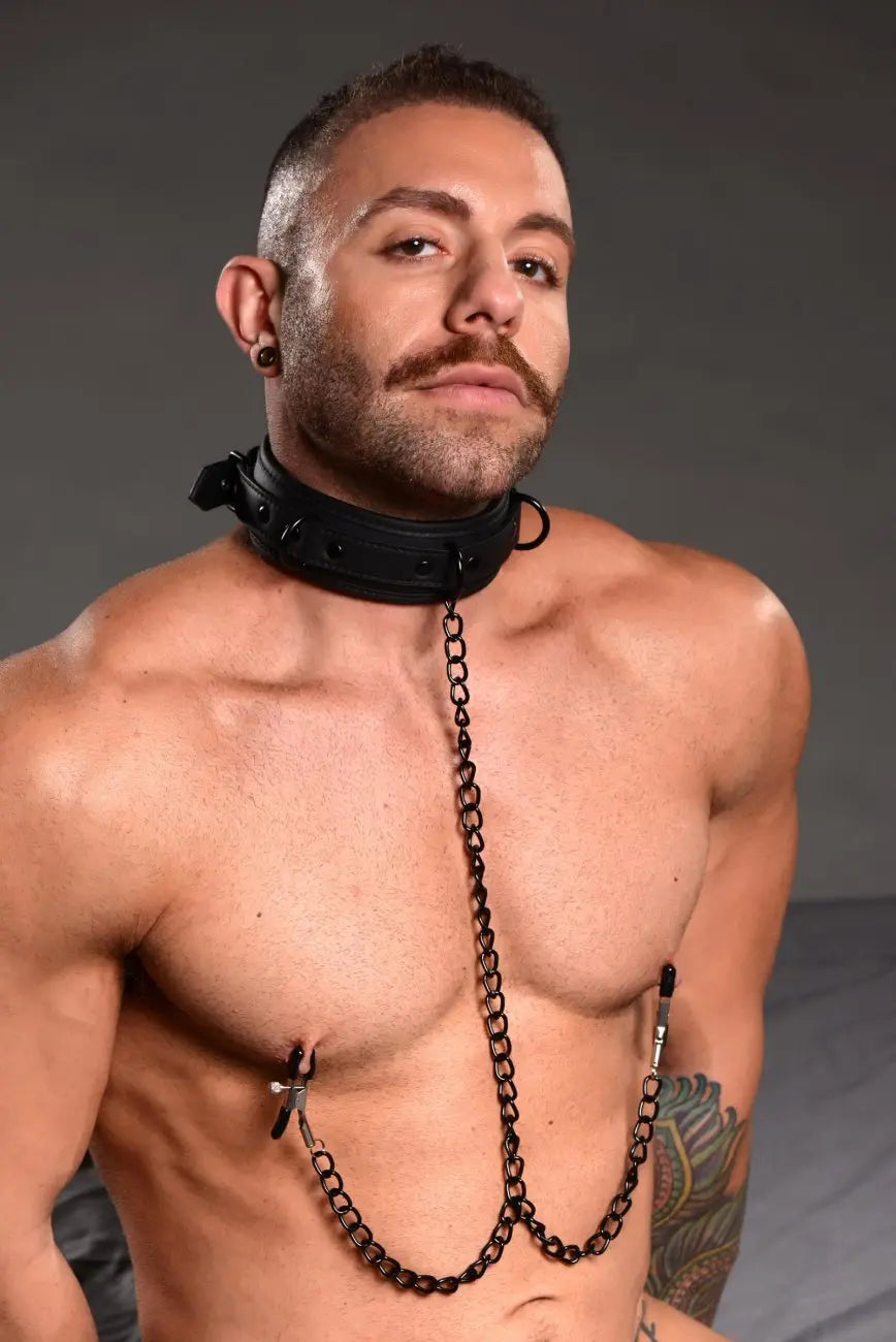 Collared Temptress Collar with Nipple Clamps  Nipple and Clit Toys