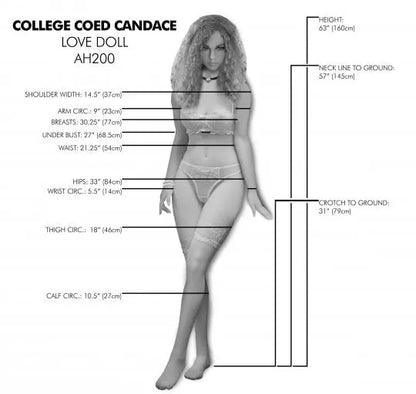 College Coed Candace Love Doll Young Adult Sex Doll  Love Dolls and Accessories