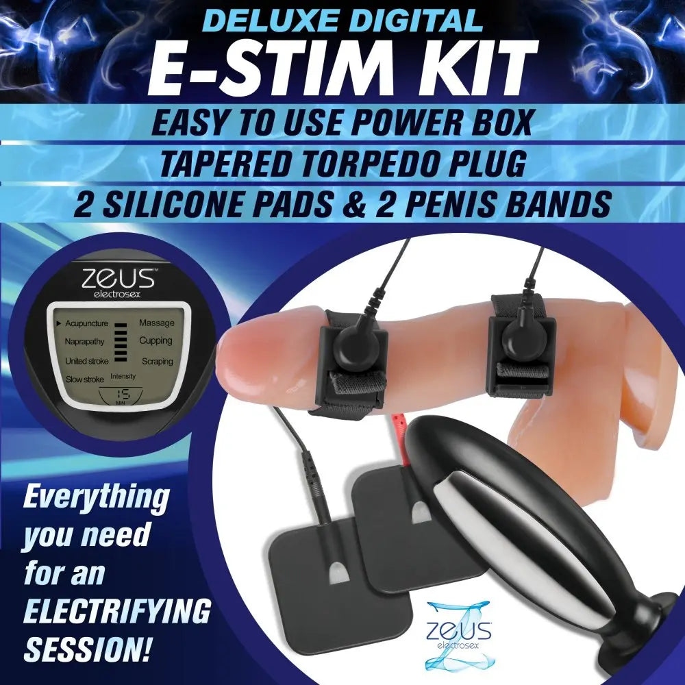 Complete Electrosex Kit Deluxe E-Stim Kit  Electro