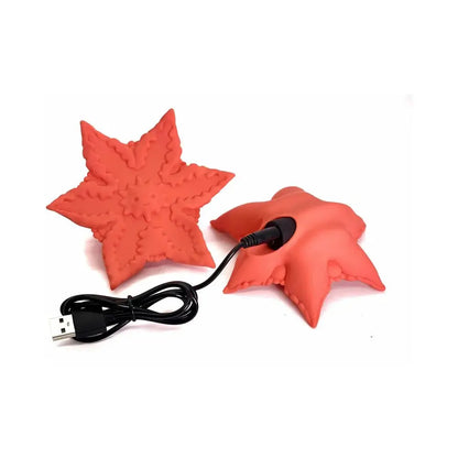 Cute Little Fuckers Starsi Coral Grinding Tribbing Sex Toy  Grinders and Tribbing Toys