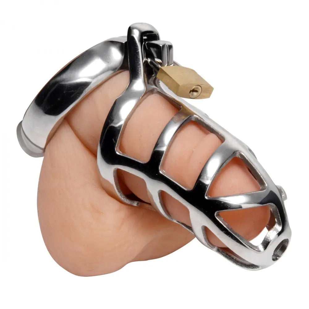 Detained Stainless Steel Chastity Cage BDSM CBT Toys Femdom  Chastity