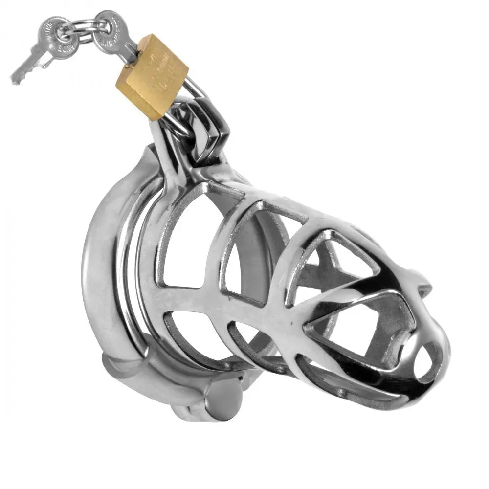 Detained Stainless Steel Chastity Cage BDSM CBT Toys Femdom  Chastity