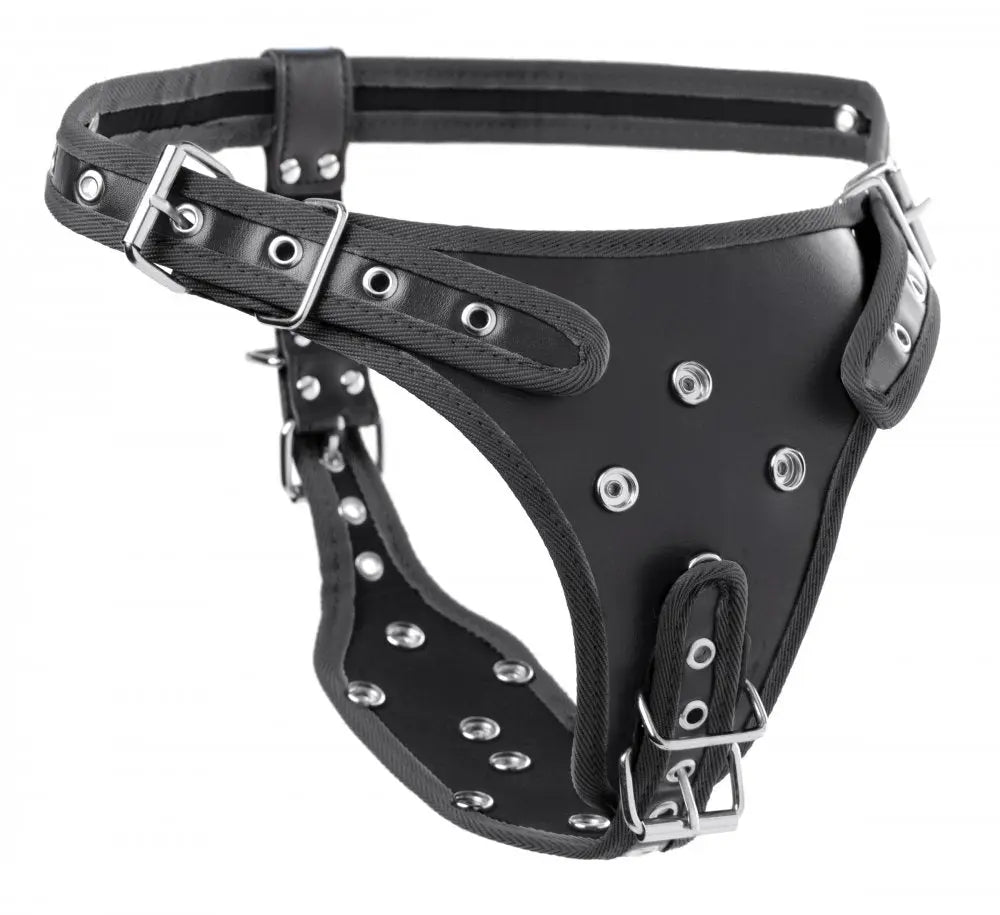 Double Penetration Strap On Harness  Strap-Ons and Harnesses