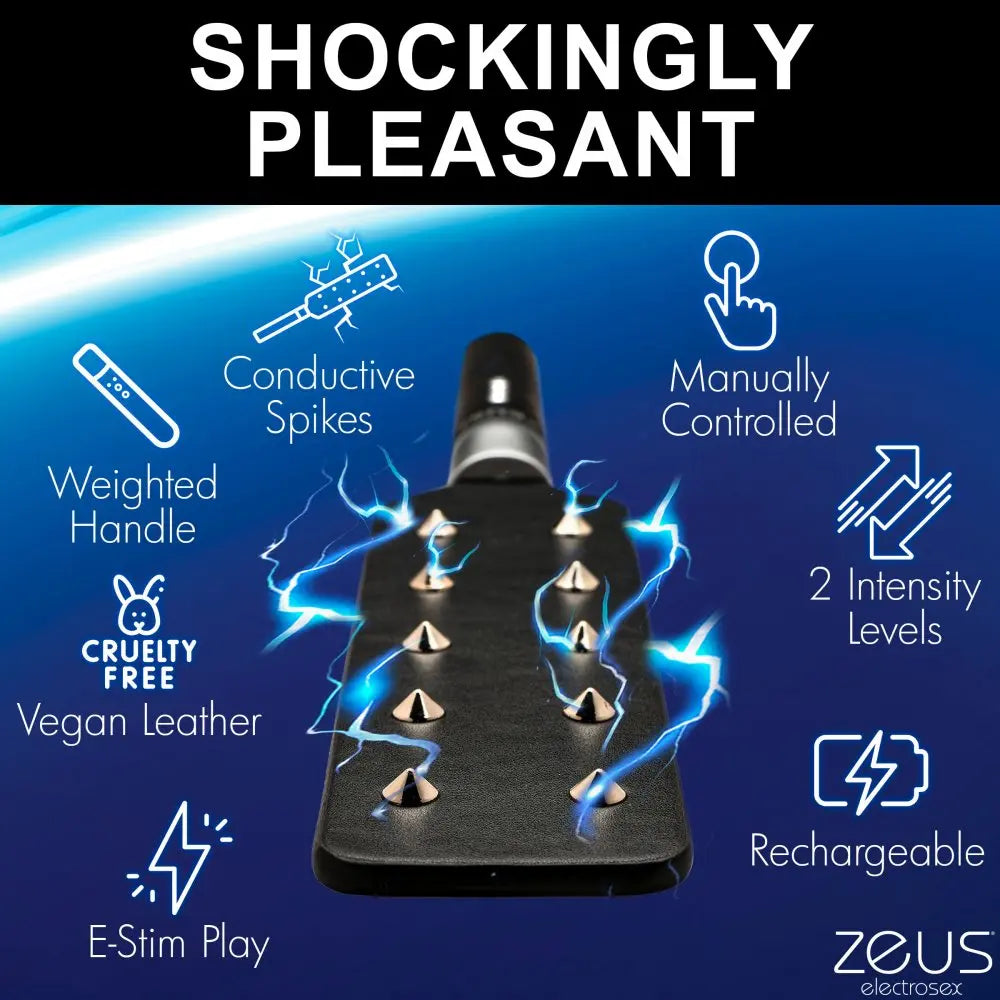 E-stim Spiked Paddle Electrosex Impact Play Paddle  Electro