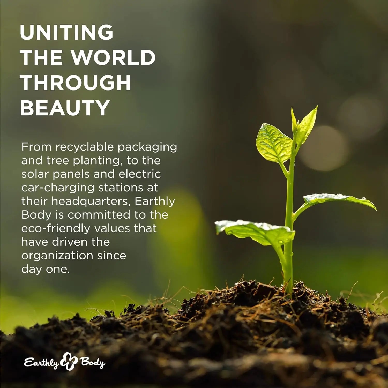 Edible Massage Oil Pineapple - Sexy Couples Gift Idea  Lubes, Lotions and Accessories